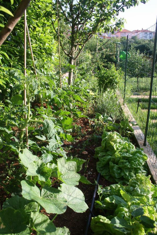 Apartment Green Garden Pula Exterior photo